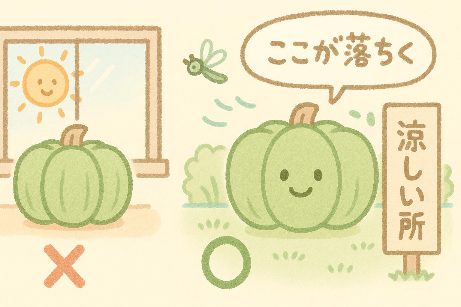 丸ごとのかぼちゃは直射日光を避けた風通しのよい涼しい場所に置くことを示した図