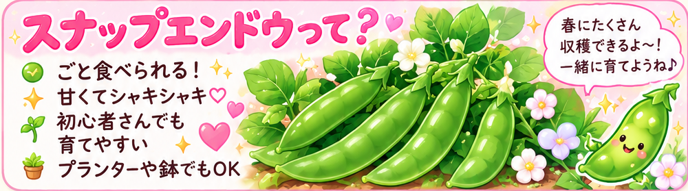 スナップエンドウの緑のさやと白い花、ウサギのマスコットを描いた横長のイラスト