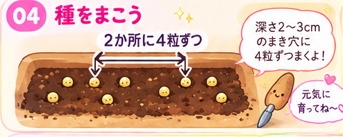 鉢の2か所に4粒ずつ種をまく図