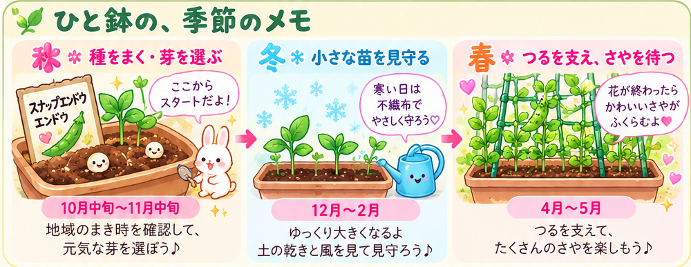 秋の種まき・冬の苗・春のさやを並べた季節の図