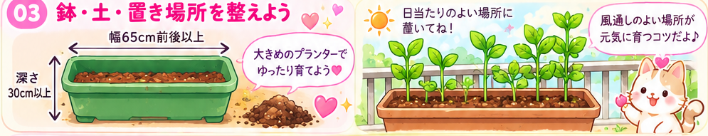 幅と深さを確かめ、日当たりと風通しのよい場所に鉢を置く図